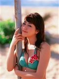 Yumi Sugimoto (杉本有美)  No.77 [VYJ](30)